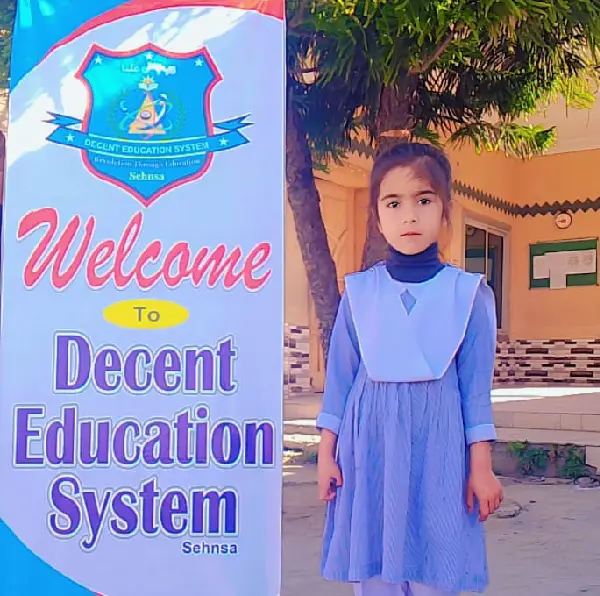 DES Welcome Image